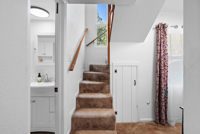 stairs with carpet floors and a textured wall
