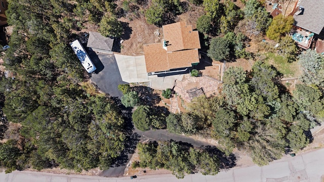 bird's eye view