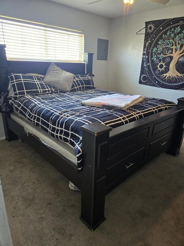 908 W Chavez Ave, Belen, NM 87002 - bedroom with carpet floors, ceiling fan, and electric panel