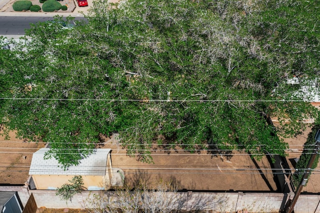 1513 Muriel St NE, Albuquerque, NM 87112 - view of yard
