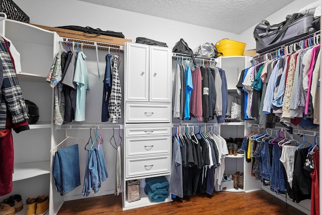 walk in closet featuring wood finished floors