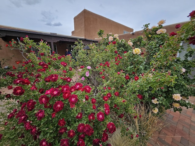14104 Piedras Rd NE, Albuquerque, NM 87123 - photo 49