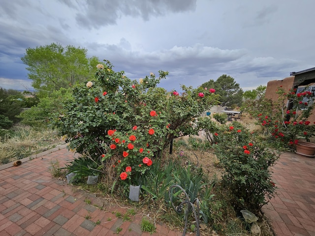 14104 Piedras Rd NE, Albuquerque, NM 87123 - photo 47