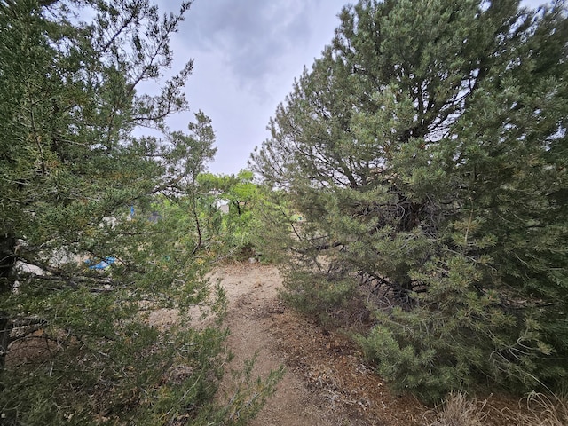 14104 Piedras Rd NE, Albuquerque, NM 87123 - photo 46