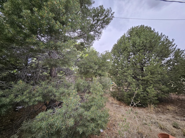 14104 Piedras Rd NE, Albuquerque, NM 87123 - photo 45