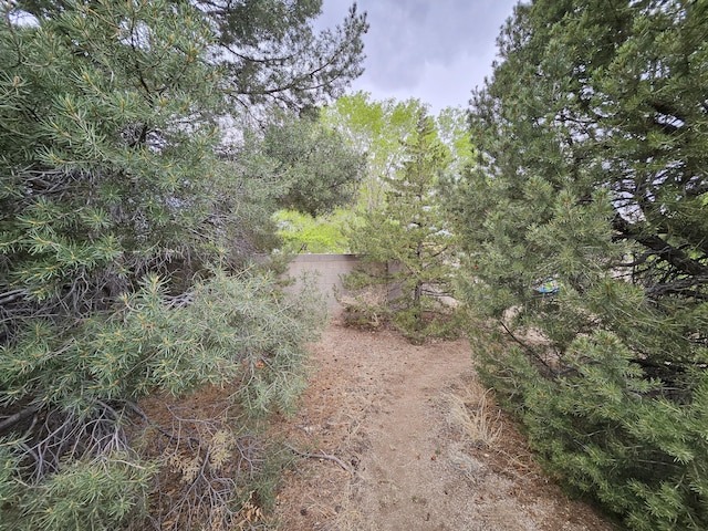 14104 Piedras Rd NE, Albuquerque, NM 87123 - photo 44