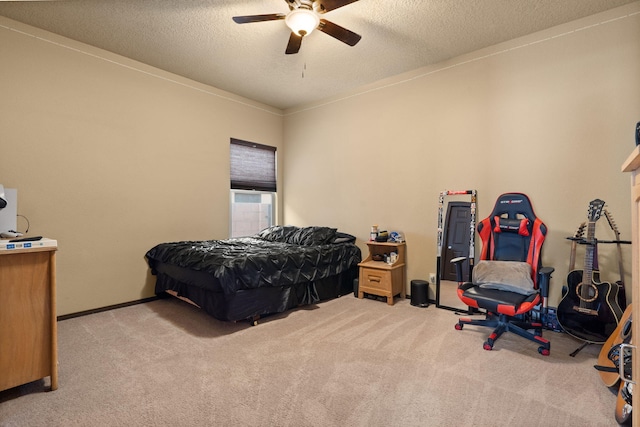 8111 Cinnamon Dr NW, Albuquerque, NM 87120 - photo 14