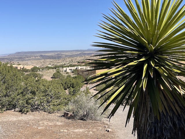 194 Camino Barranca, Placitas, NM 87043 - photo 24
