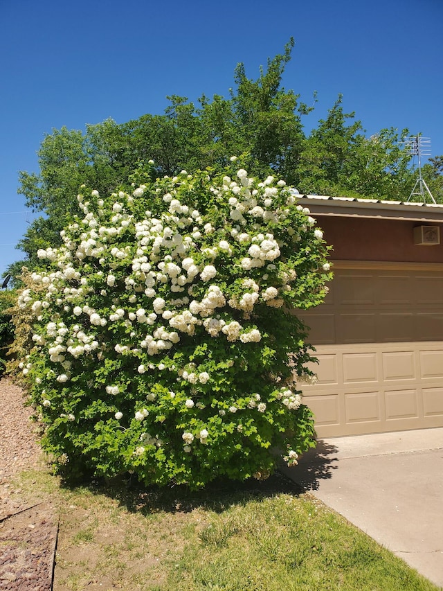 exterior space featuring concrete driveway