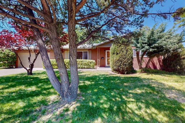 view of front of house with an attached garage, driveway, stucco siding, and a front yard