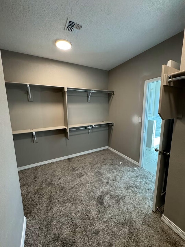4816 Manzano Peak St SW, Los Lunas, NM 87031 - photo 8