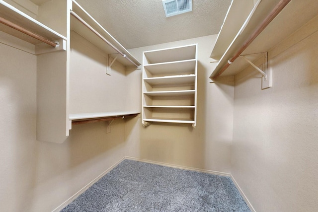 7229 Skagway Dr NE, Rio Rancho, NM 87144 - walk in closet featuring carpet