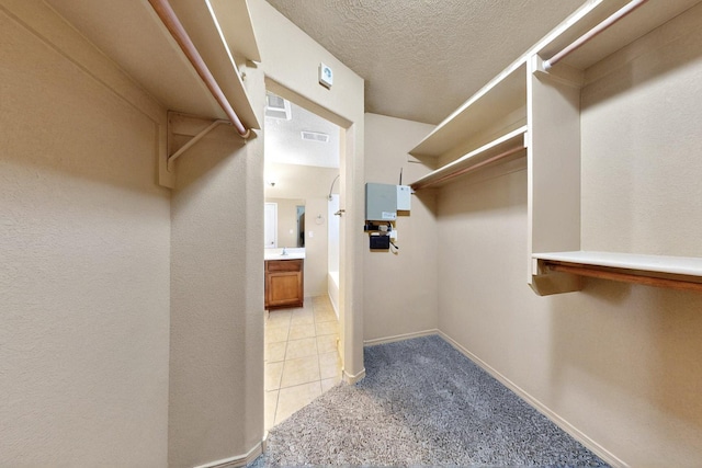 spacious closet featuring light carpet