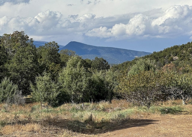 68 Canyon Rd, Sandia Park, NM 87047 - photo 1