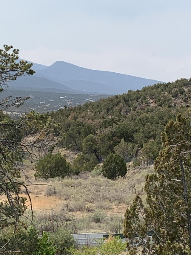 68 Canyon Rd, Sandia Park, NM 87047 - photo 11