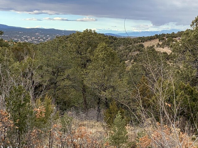 68 Canyon Rd, Sandia Park, NM 87047 - photo 13