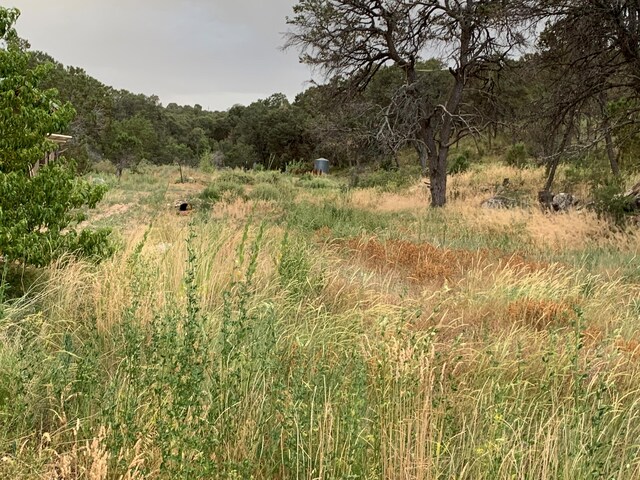 68 Canyon Rd, Sandia Park, NM 87047 - photo 14