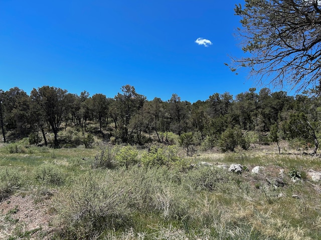 68 Canyon Rd, Sandia Park, NM 87047 - photo 15