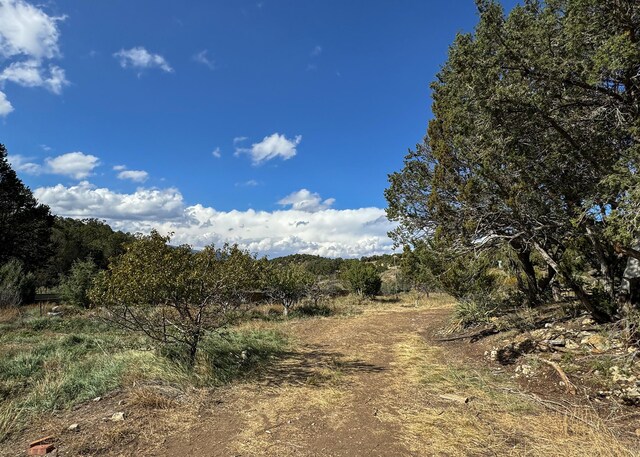 68 Canyon Rd, Sandia Park, NM 87047 - photo 16