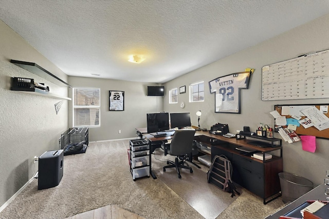 7720 Red Finch Ct NW, Albuquerque, NM 87114 - carpeted office space featuring plenty of natural light, a textured ceiling, and baseboards