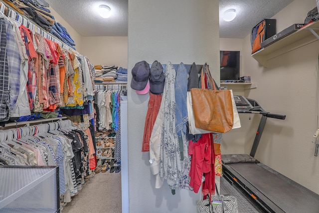 6113 Oldenberg Dr SE, Albuquerque, NM 87106 - photo 19