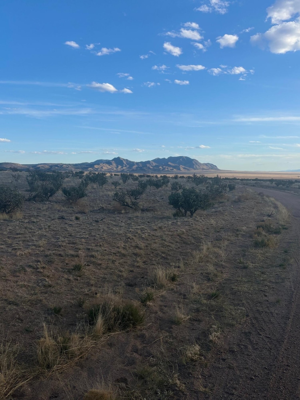 Smoke Rise Trl, Belen, NM 87002 - photo 3