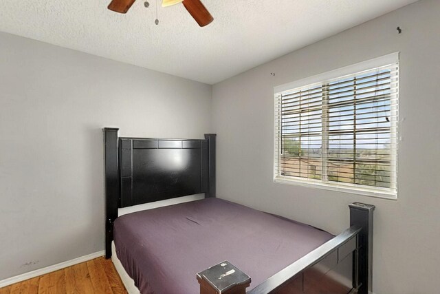 8209 Feathertop Rd SW, Albuquerque, NM 87121 - photo 28