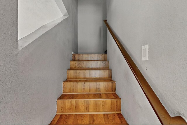 8209 Feathertop Rd SW, Albuquerque, NM 87121 - photo 6