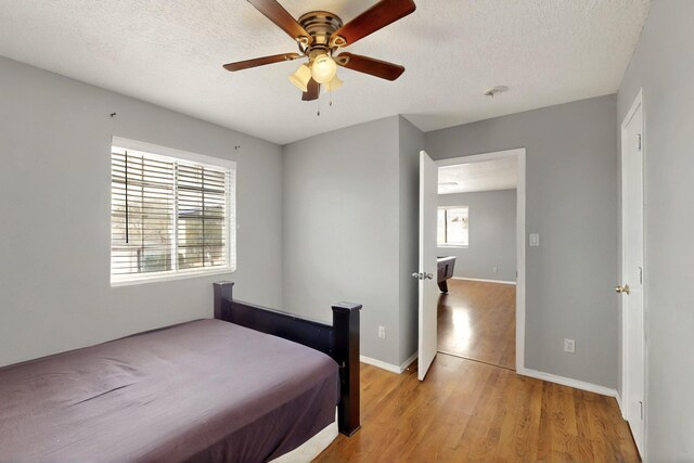 8209 Feathertop Rd SW, Albuquerque, NM 87121 - photo 30