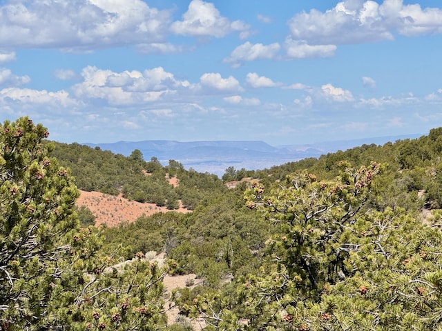 1083 S Summit Rdg, Santa Fe, NM 87501 - photo 29