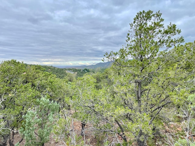 1083 S Summit Rdg, Santa Fe, NM 87501 - photo 65
