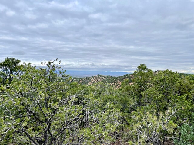 1083 S Summit Rdg, Santa Fe, NM 87501 - photo 63