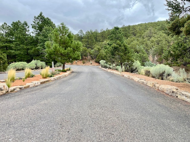 1121 S Summit Rdg, Santa Fe, NM 87501 - photo 2