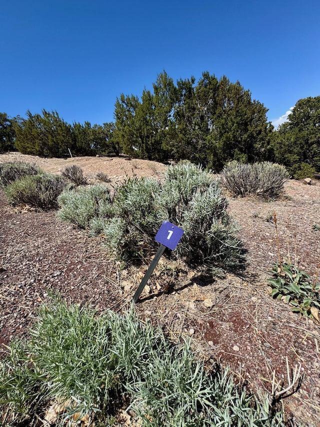 1121 S Summit Rdg, Santa Fe, NM 87501 - photo 26