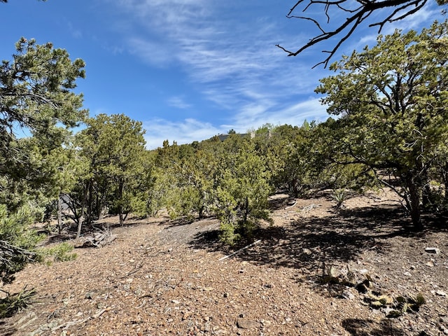 1121 S Summit Rdg, Santa Fe, NM 87501 - photo 21