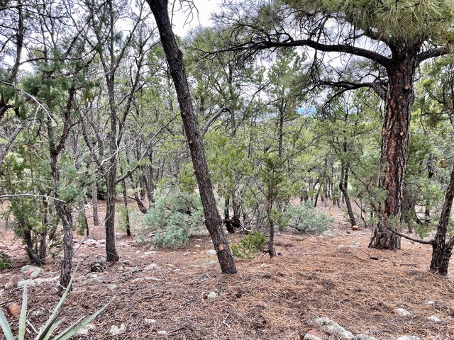 1121 S Summit Rdg, Santa Fe, NM 87501 - photo 17