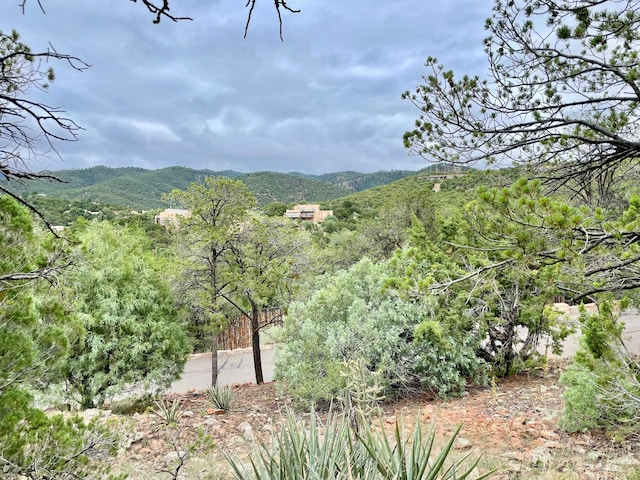 1121 S Summit Rdg, Santa Fe, NM 87501 - photo 10