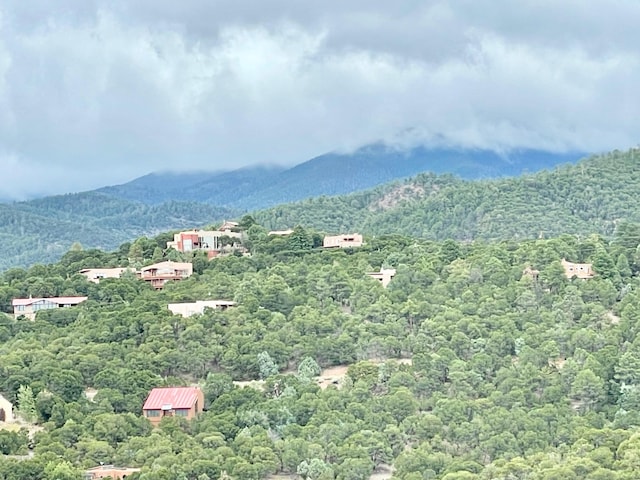 1121 S Summit Rdg, Santa Fe, NM 87501 - photo 9