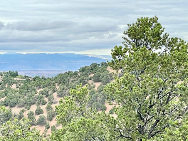 1121 S Summit Rdg, Santa Fe, NM 87501 - photo 64