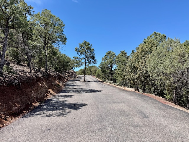 1121 S Summit Rdg, Santa Fe, NM 87501 - photo 62