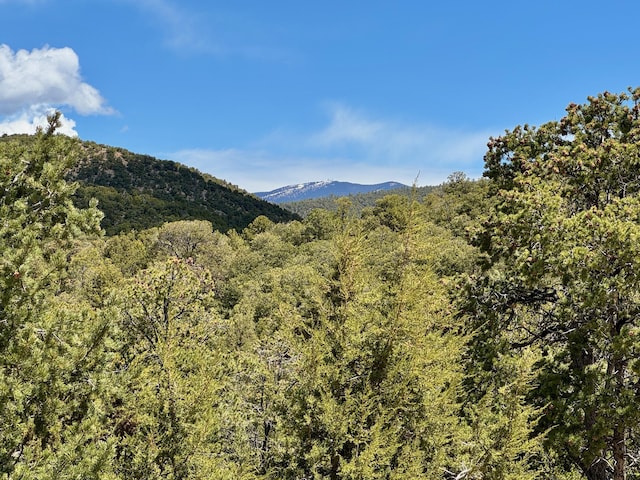 1121 S Summit Rdg, Santa Fe, NM 87501 - photo 59