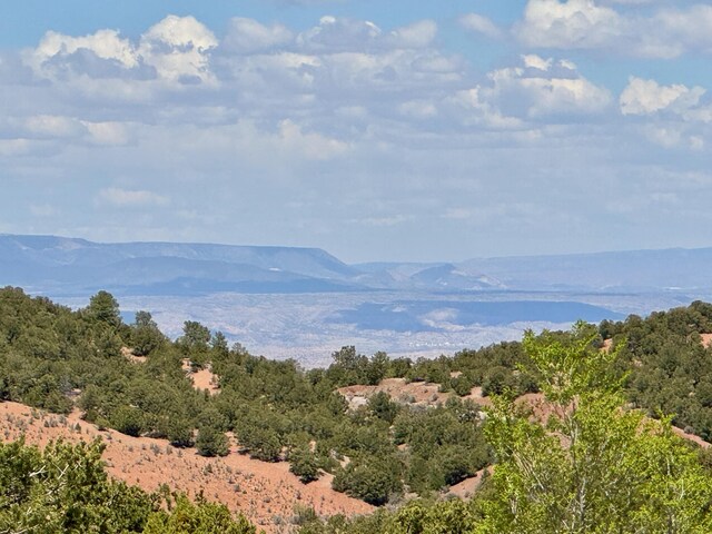 1121 S Summit Rdg, Santa Fe, NM 87501 - photo 54