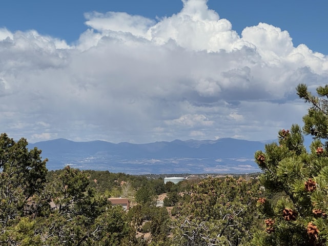1121 S Summit Rdg, Santa Fe, NM 87501 - photo 46
