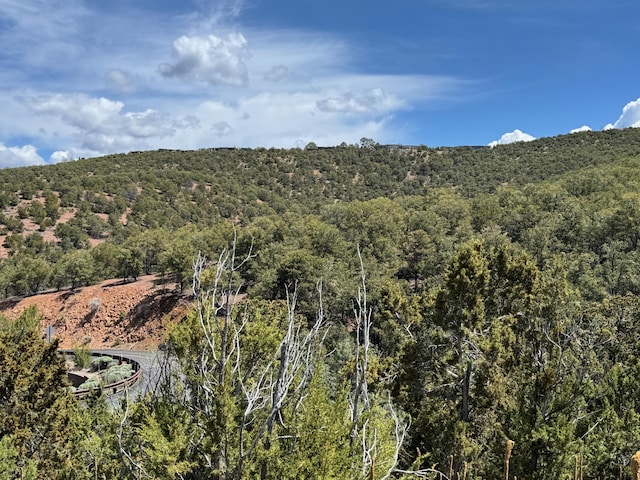 1121 S Summit Rdg, Santa Fe, NM 87501 - photo 41