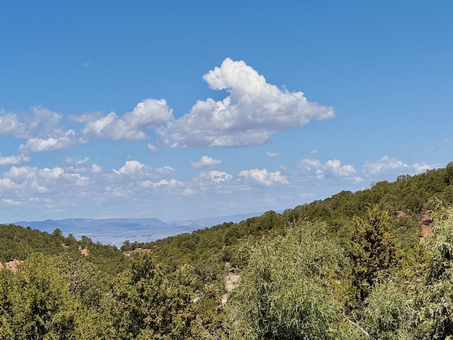 1121 S Summit Rdg, Santa Fe, NM 87501 - photo 40