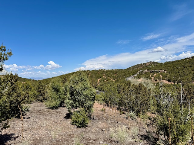 1121 S Summit Rdg, Santa Fe, NM 87501 - photo 39