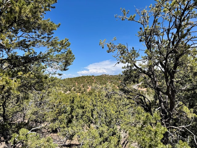 1121 S Summit Rdg, Santa Fe, NM 87501 - photo 38