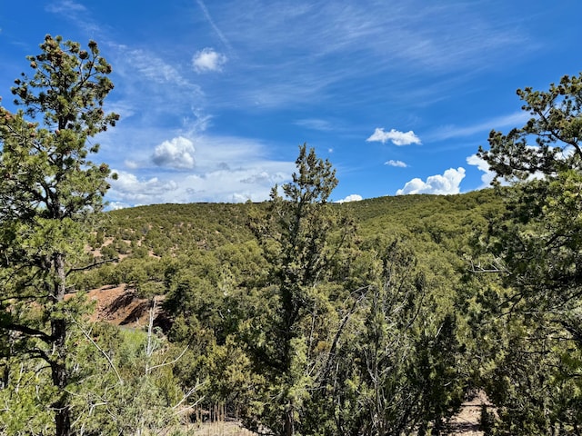 1121 S Summit Rdg, Santa Fe, NM 87501 - photo 37