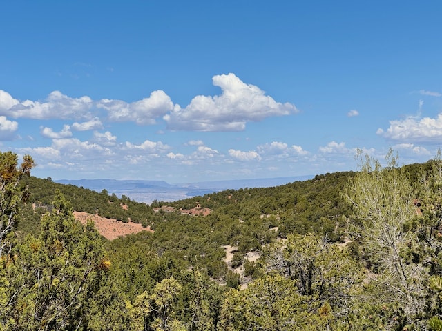 1121 S Summit Rdg, Santa Fe, NM 87501 - photo 36