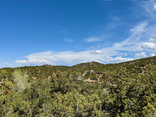 1121 S Summit Rdg, Santa Fe, NM 87501 - photo 35